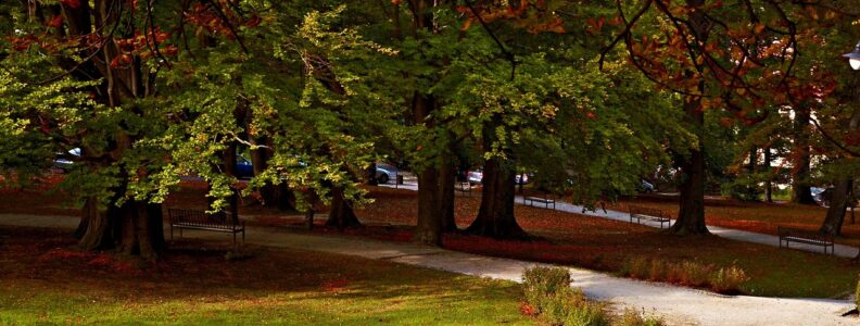 Relaks i skuteczna terapia w uzdrowisku Busko-Zdrój